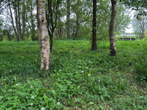 27_Umgebung-1_Groß (IMG_0641)